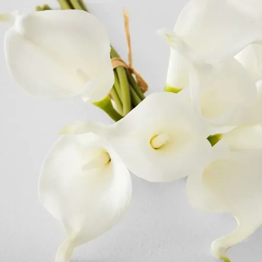 Provincial Home Living Flowers + Greenery | Flowers + Greenery>Calla Lily Bunch