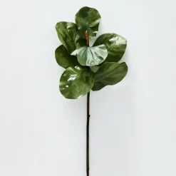 Provincial Home Living Flowers + Greenery | Flowers + Greenery>Fig Leaf Stem