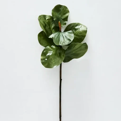 Provincial Home Living Flowers + Greenery | Flowers + Greenery>Fig Leaf Stem
