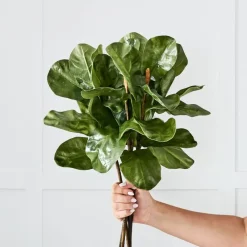 Provincial Home Living Flowers + Greenery | Flowers + Greenery>Fig Leaf Stem