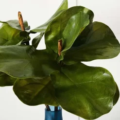 Provincial Home Living Flowers + Greenery | Flowers + Greenery></noscript>Fig Leaf Stem