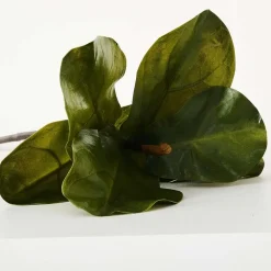 Provincial Home Living Flowers + Greenery | Flowers + Greenery></noscript>Fig Leaf Stem