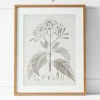 Provincial Home Living Artwork>Floreal Print I 60x76