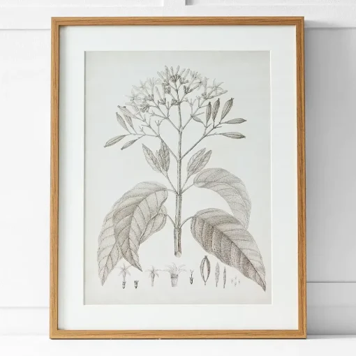 Provincial Home Living Artwork>Floreal Print I 60x76