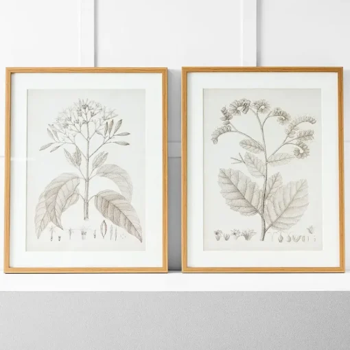 Provincial Home Living Artwork>Floreal Print I 60x76