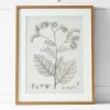 Provincial Home Living Artwork>Floreal Print II 60x76
