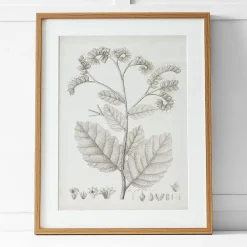 Provincial Home Living Artwork>Floreal Print II 60x76