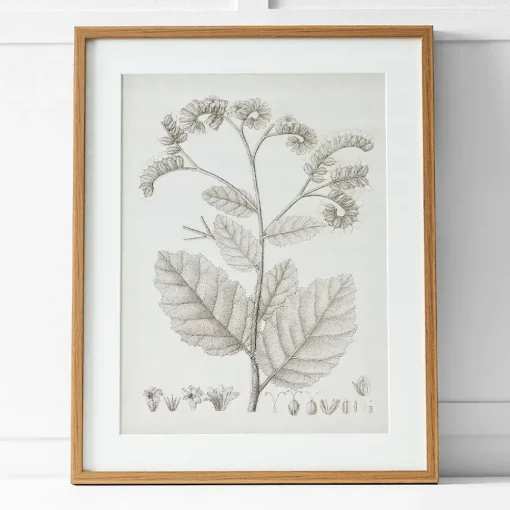 Provincial Home Living Artwork>Floreal Print II 60x76