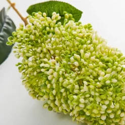 Provincial Home Living Flowers + Greenery | Flowers + Greenery></noscript>Skimmia Stem