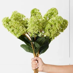 Provincial Home Living Flowers + Greenery | Flowers + Greenery></noscript>Skimmia Stem