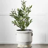 Provincial Home Living Pots, Planters + Urns>Gruyere Flowerpot L