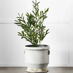Provincial Home Living Pots, Planters + Urns>Gruyere Flowerpot L