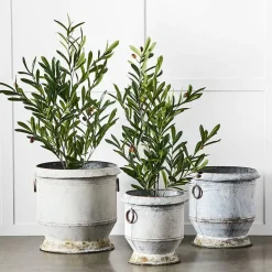 Provincial Home Living Pots, Planters + Urns></noscript>Gruyere Flowerpot L