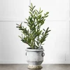 Provincial Home Living Pots, Planters + Urns>Gruyere Flowerpot S