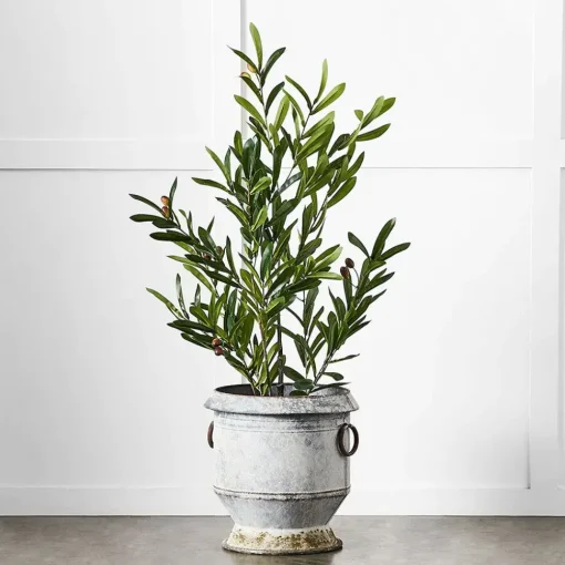 Provincial Home Living Pots, Planters + Urns>Gruyere Flowerpot S