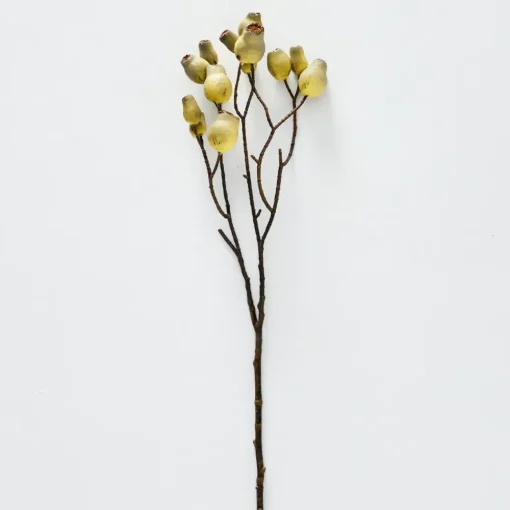 Provincial Home Living Flowers + Greenery | Flowers + Greenery>Gumnut Stem