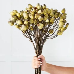 Provincial Home Living Flowers + Greenery | Flowers + Greenery>Gumnut Stem