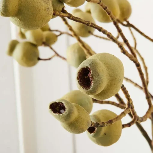 Provincial Home Living Flowers + Greenery | Flowers + Greenery>Gumnut Stem