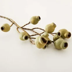 Provincial Home Living Flowers + Greenery | Flowers + Greenery></noscript>Gumnut Stem