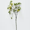 Provincial Home Living Flowers + Greenery | Flowers + Greenery>Laurel Berry Stem