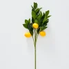 Provincial Home Living Flowers + Greenery | Flowers + Greenery>Lemon Stem