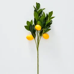 Provincial Home Living Flowers + Greenery | Flowers + Greenery>Lemon Stem