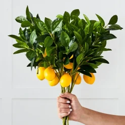 Provincial Home Living Flowers + Greenery | Flowers + Greenery>Lemon Stem