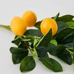 Provincial Home Living Flowers + Greenery | Flowers + Greenery></noscript>Lemon Stem