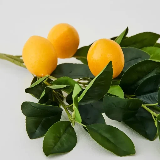Provincial Home Living Flowers + Greenery | Flowers + Greenery>Lemon Stem