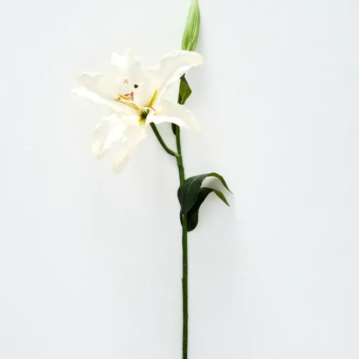 Provincial Home Living Flowers + Greenery | Flowers + Greenery>Lily Stem