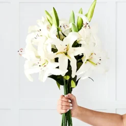 Provincial Home Living Flowers + Greenery | Flowers + Greenery>Lily Stem