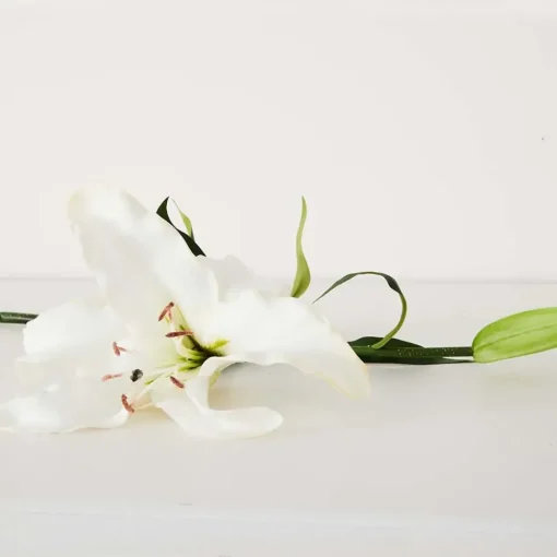 Provincial Home Living Flowers + Greenery | Flowers + Greenery>Lily Stem