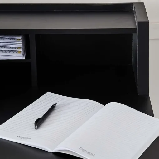 Provincial Home Living Desks>Lucia Desk