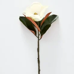 Provincial Home Living Flowers + Greenery | Flowers + Greenery>Magnolia Flower Stem