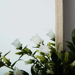 Provincial Home Living Mirrors | Mirrors></noscript>Maia Mirror