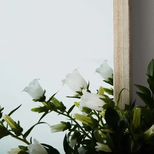 Provincial Home Living Mirrors | Mirrors>Maia Mirror