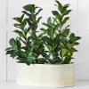 Provincial Home Living Pots, Planters + Urns>Montag Planter L