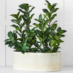 Provincial Home Living Pots, Planters + Urns></noscript>Montag Planter L