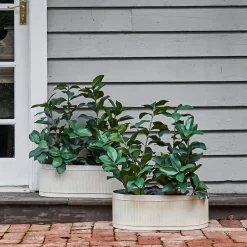 Provincial Home Living Pots, Planters + Urns></noscript>Montag Planter S