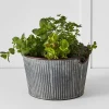 Provincial Home Living Pots, Planters + Urns>Palmer Tub M