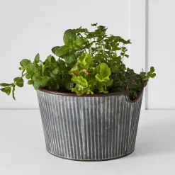 Provincial Home Living Pots, Planters + Urns>Palmer Tub M