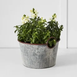 Provincial Home Living Pots, Planters + Urns>Palmer Tub S