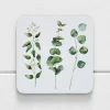 Provincial Home Living Napery>Porter Eucalypt Coaster