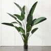Provincial Home Living Flowers + Greenery | Flowers + Greenery>Potted Plant Palm