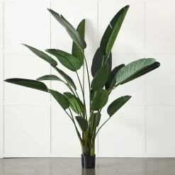 Provincial Home Living Flowers + Greenery | Flowers + Greenery>Potted Plant Palm