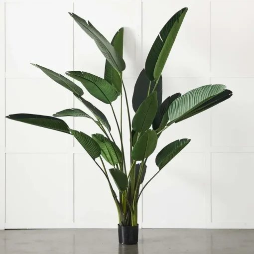 Provincial Home Living Flowers + Greenery | Flowers + Greenery>Potted Plant Palm