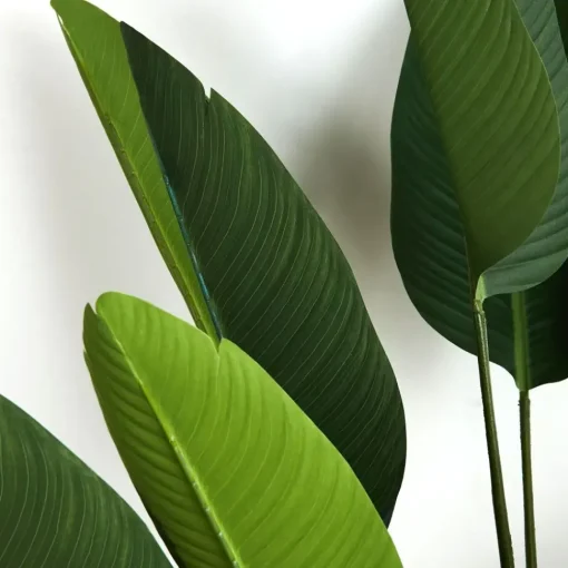 Provincial Home Living Flowers + Greenery | Flowers + Greenery>Potted Plant Palm