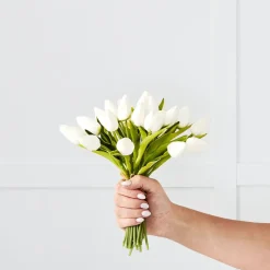 Provincial Home Living Flowers + Greenery | Flowers + Greenery>Tulip Bunch