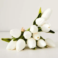 Provincial Home Living Flowers + Greenery | Flowers + Greenery></noscript>Tulip Bunch